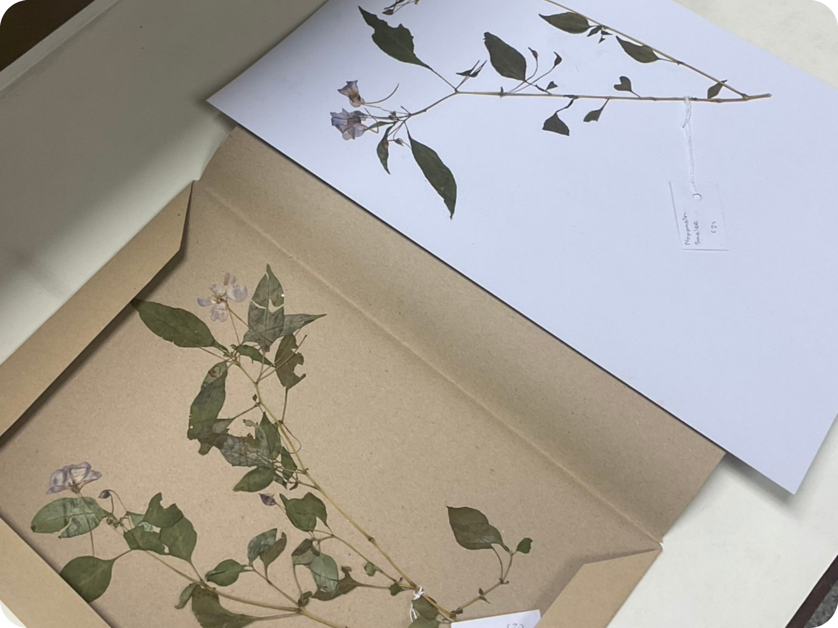 ออกภาคสนาม