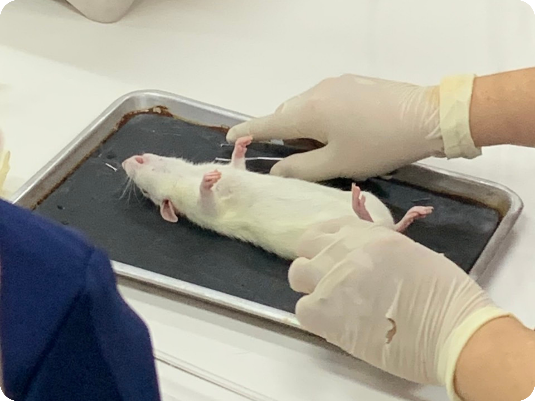 แล็บปฏิบัติการ